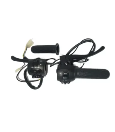 Electric bike Throttle Set